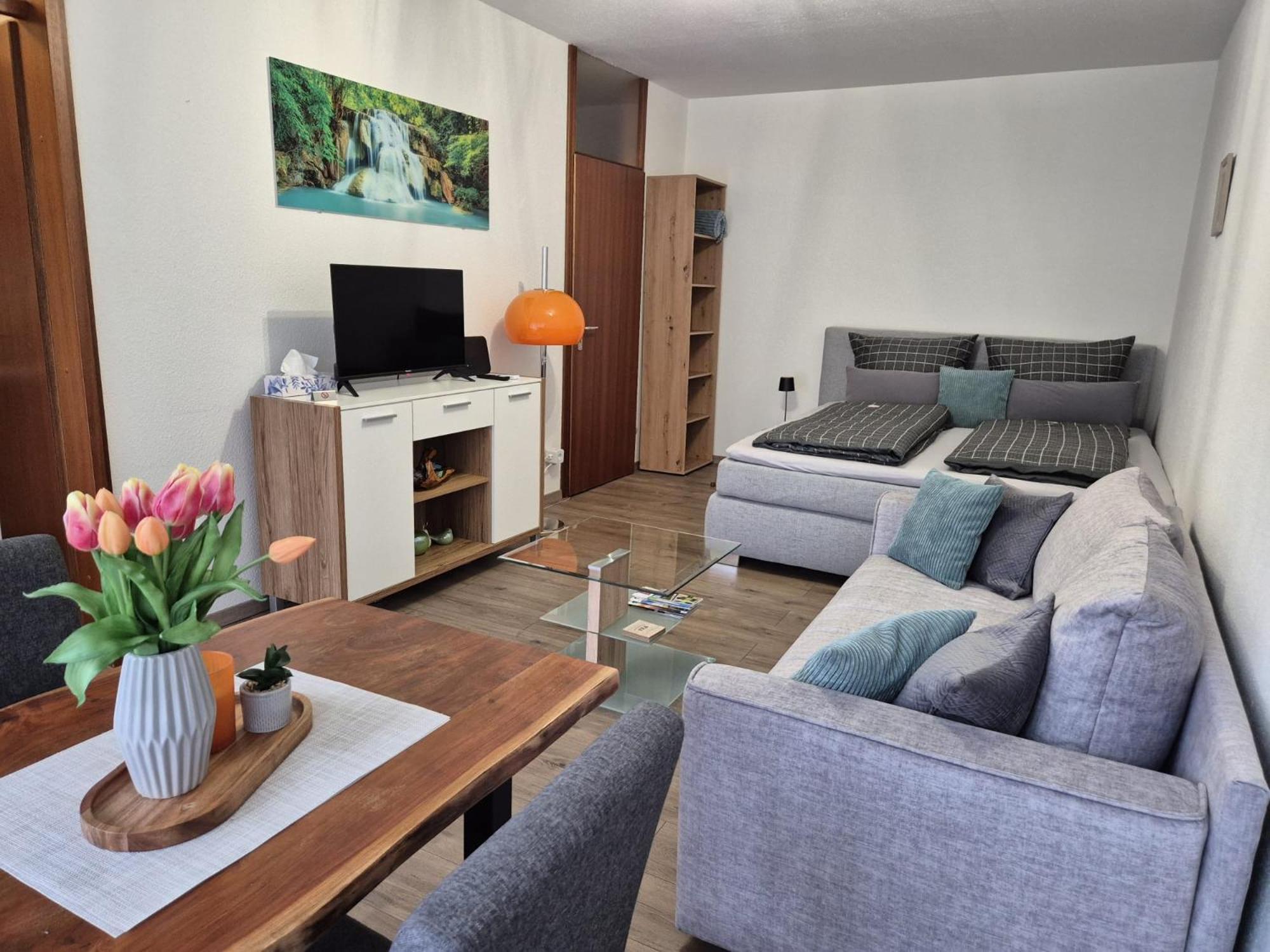 Wasserfaelle Apartments Sasbachwalden Kültér fotó